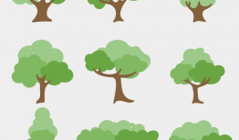 大树漫画,描绘生活百态，传递温馨情感