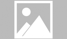 沙雕爽文吃瓜娱乐圈,吃瓜群众狂欢盛宴